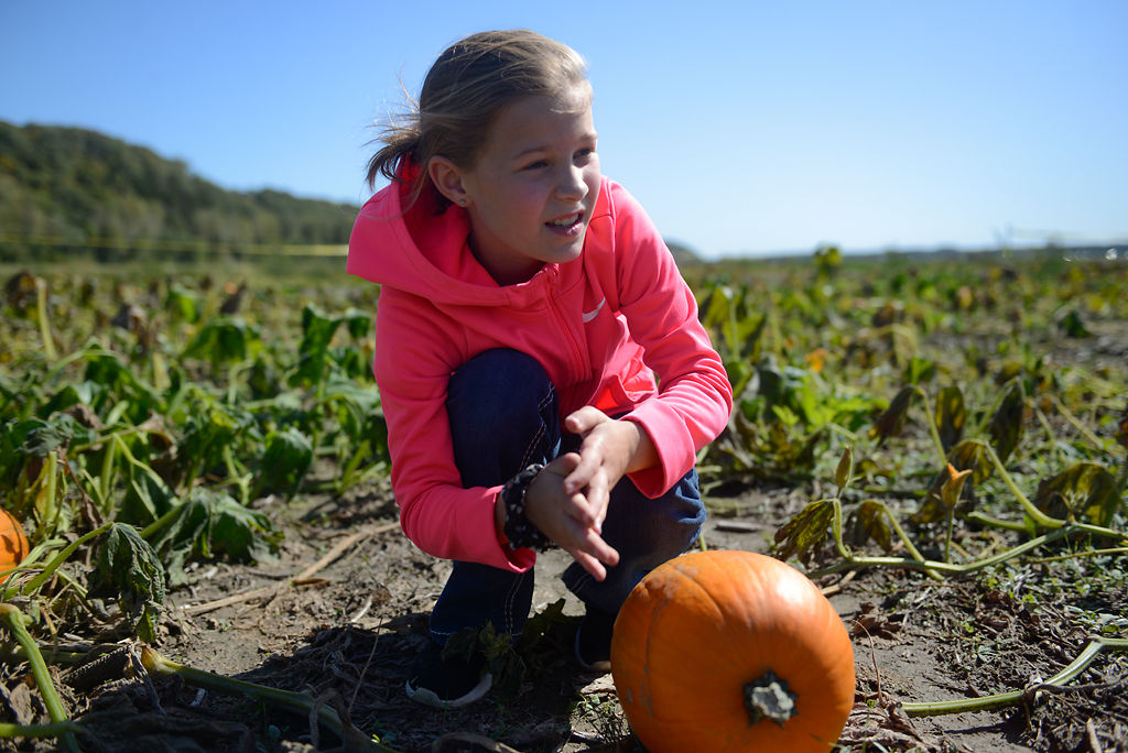Leah Fadler, 9, inspects a pumpkin